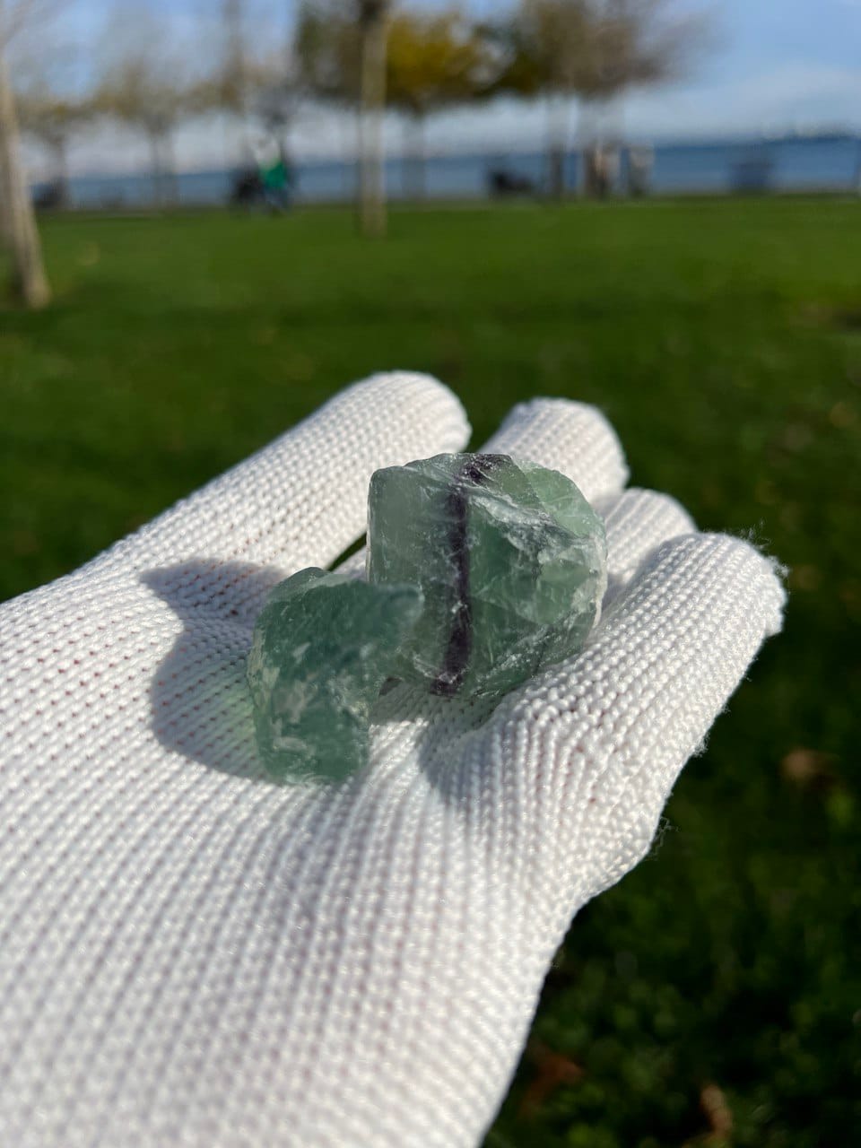 photo_6005676379888271515_y Ham Florit - Görsel 1