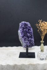 Ev içi amatist 4