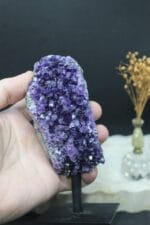 Ev içi amatist 4 - Görsel 2