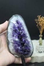 Ev içi amatist 3 - Görsel 2